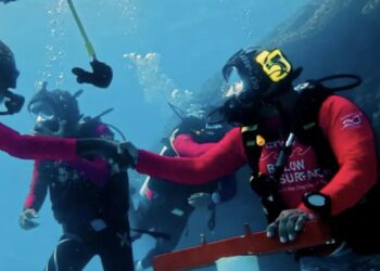 Diving into History: Ooredoo Maldives Sets Guinness World Record with Largest Underwater Panel Discussion