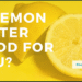 Warm Lemon Water: Myth or Miracle for Digestion & Weight Loss?
